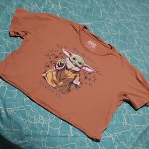 Star Wars Brown Short Sleeve Tee with Graphic Design